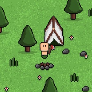 Wilderness Survival Quest